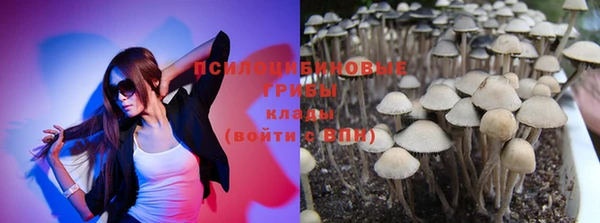 метадон Елизово