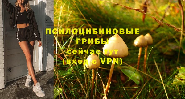 бошки Аркадак