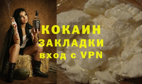 гашик Сосновый Бор