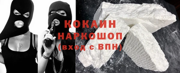 гашик Сосновый Бор