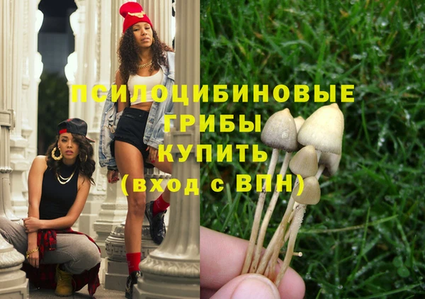 спиды Елабуга