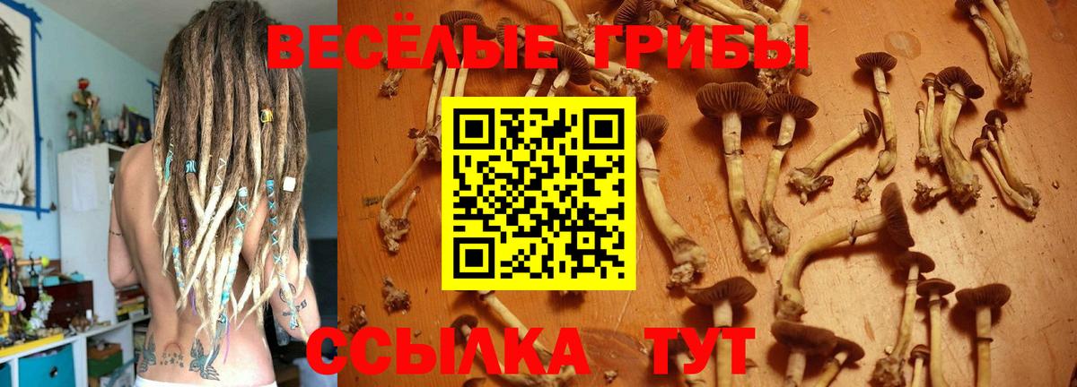 Псилоцибиновые грибы ЛСД Советск