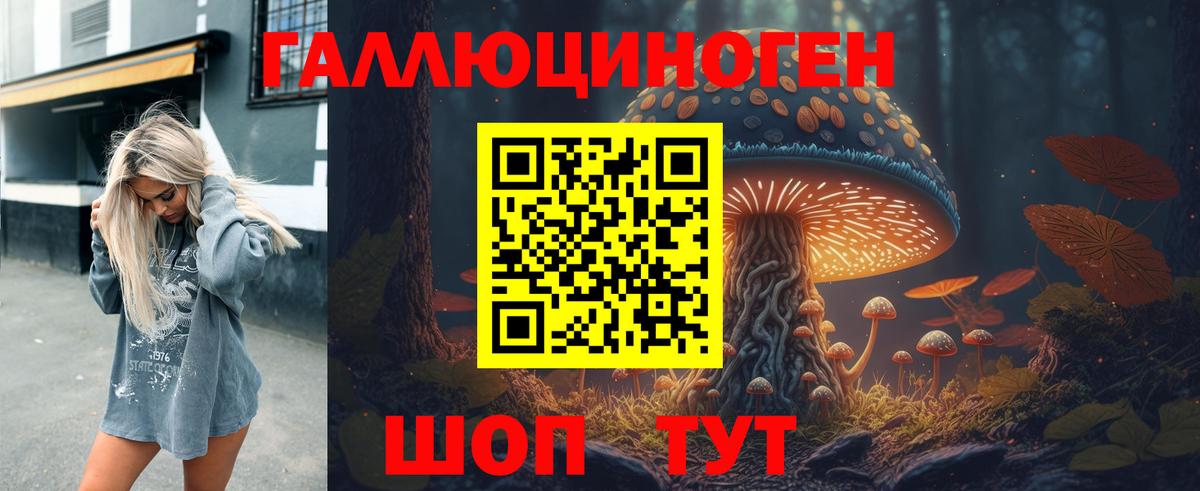 Советск  Галлюциногенные грибы GOLDEN TEACHER  Вход с VPN 